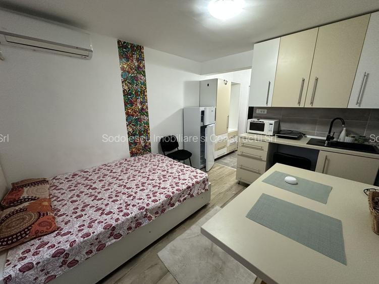 Apartament 1 camera la Mansarda - 10