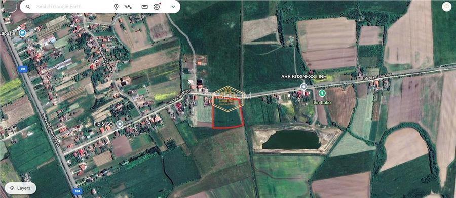 Teren generos si versatil - 10.850 mp | Balta Blonda | Diverse proiecte - 9