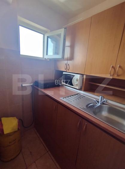 Garsoniera 16 mp, Calea Severinului, in spatele Brico Depot - 4