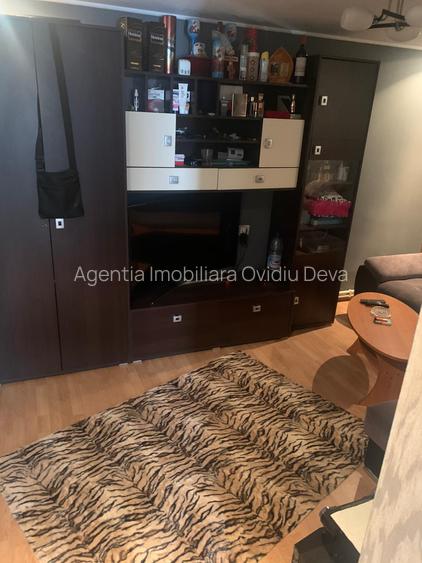 Vand doua case  in aceeasi curte, in sat Dudesti, com. Luncoiu de Jos, Hunedoara - 5