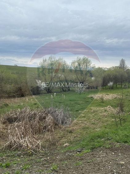 Teren 2,700mp Scheia / DJ 209C - 10