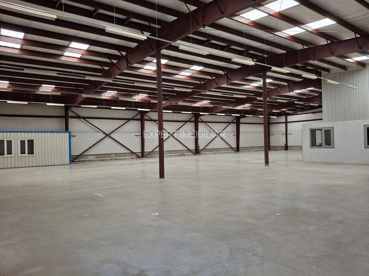 Hala productie /depozitare spatii cazare Branesti/Makita - 14