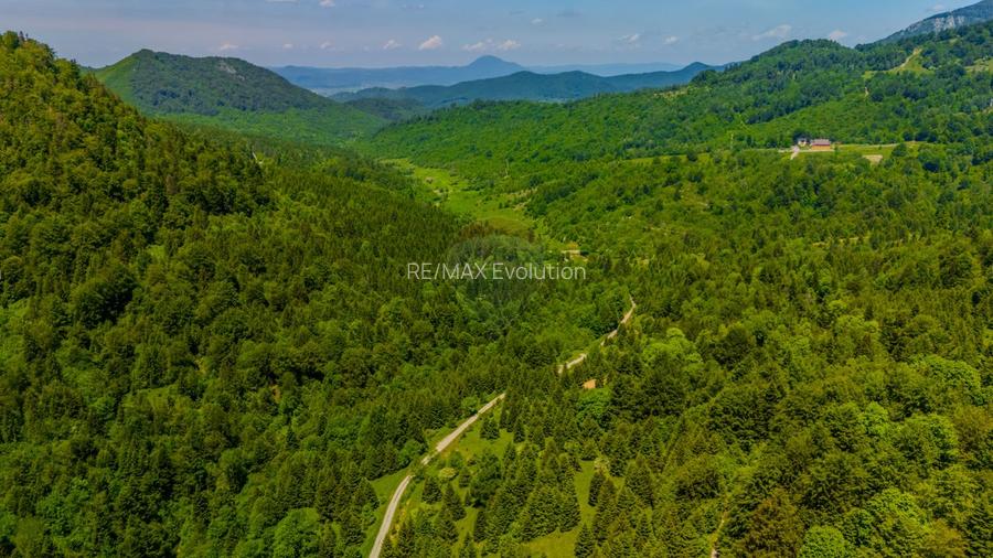 Teren extravlan 14,400mp Paraul Rece / Strada 3 brazi - 2