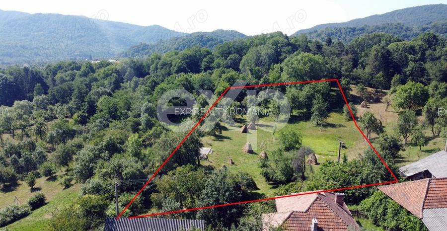 Teren în comuna Corbeni - 6