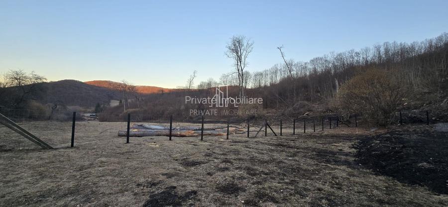 Teren de vanzare, 20.000Mp , Comuna Danes, drumul Crisului - 16