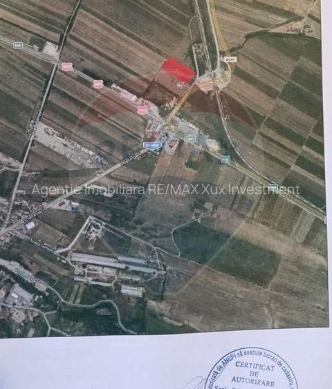 Teren intravilan 9.574 mp în Săliște, poziție strategică, ideal invest - 8