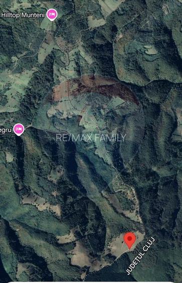 Teren 130000 mp extravilan, faneata si padure, Munteni - Bulz, Negreni - 5