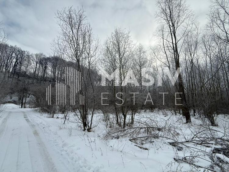 Teren intravilan 6.093 mp – Piatra Arsă, Bușteni, dezvoltare turistică premium! - 5