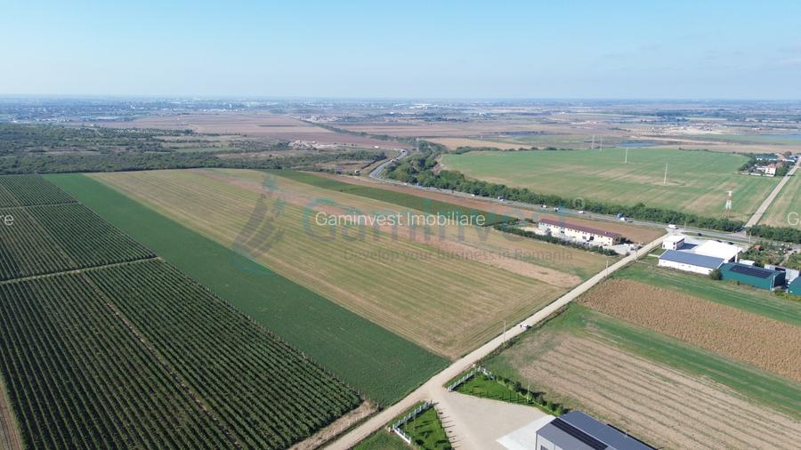 Teren intravilan de vanzare, 66400 mp, langa Oradea, Bihor  - 12