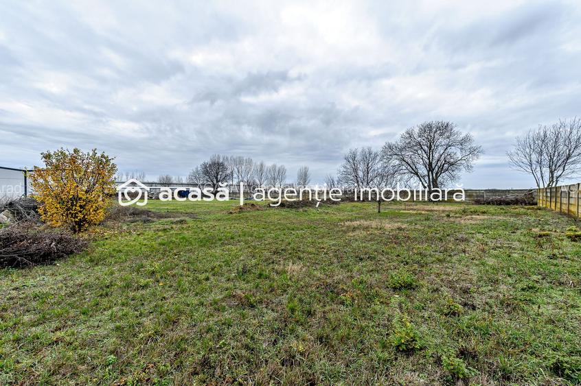 Hale depozitare/producție 2.000 mp si 10.000 mp teren în Pecica - 14