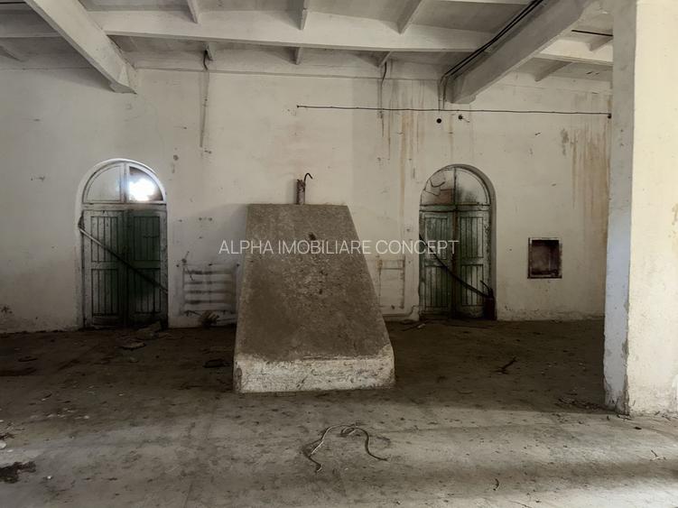 Eforie Sud Depozit Parter + Mezanin cu rampă Auto și CF - 10