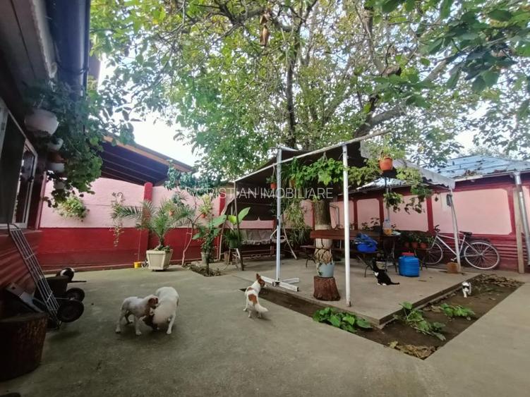 VEZI VIDEO! Casa 4 cam 120m utili teren 500 mp Mobilata Chiscani - 4