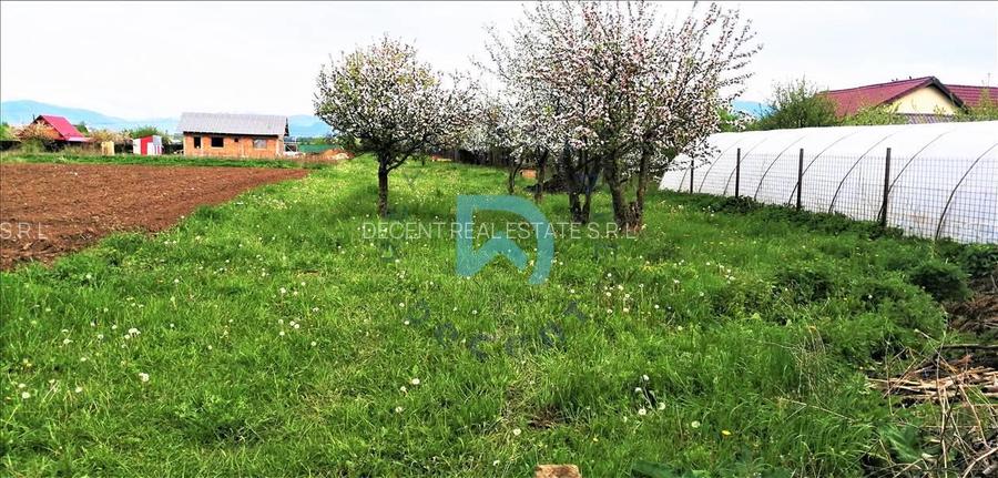 Vanzare teren intravilan, Sanpetru, Livada - 3
