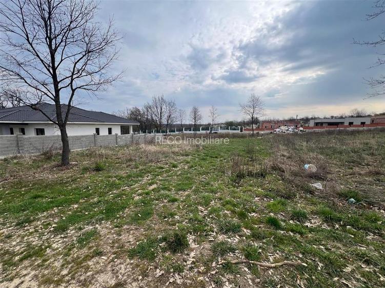 RECO Teren Saldabagiu de Munte - 3