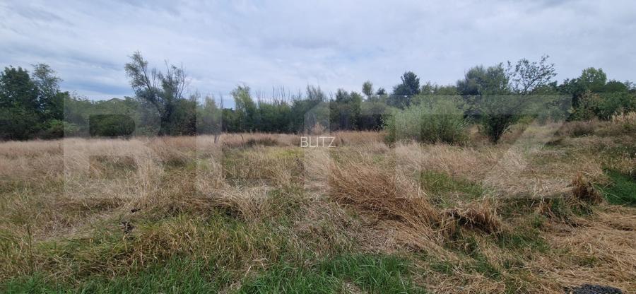 Teren intravilan, 6850 mp, Simnicul de sus