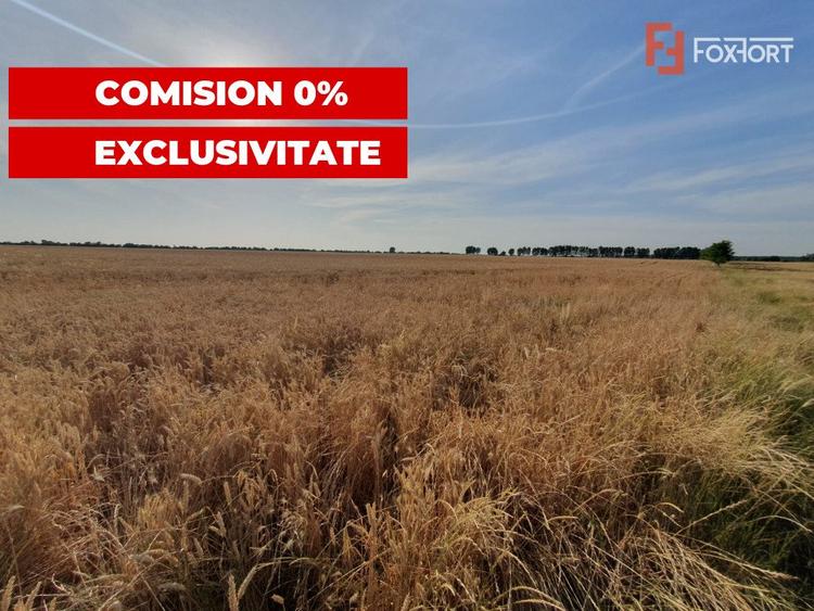 COMISION 0% Teren de vanzare intravilan de 24.700 mp - Padureni