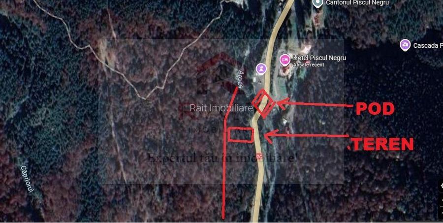 Teren extravilan tip pădure de vânzare 500 mp Arefu Transfăgărășan - 10