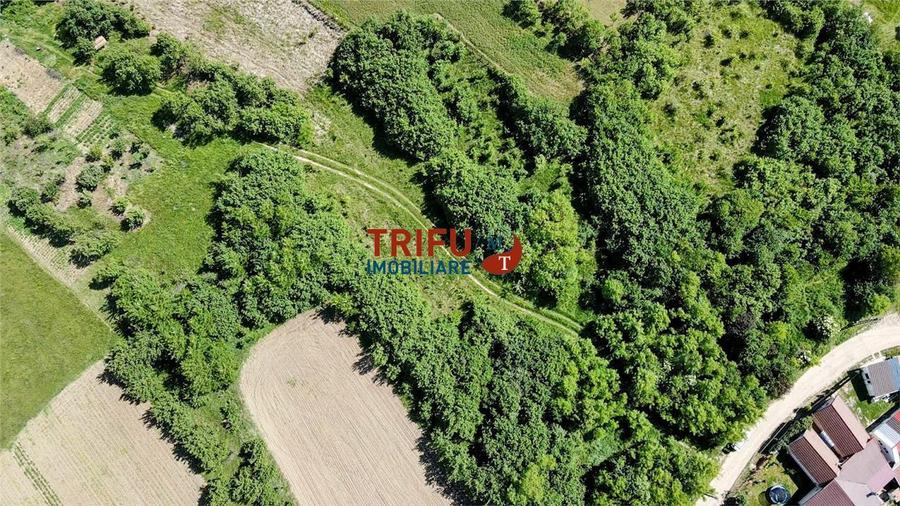Teren intravilan 4600mp in Oarda de Sus