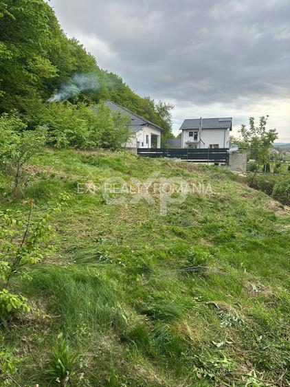 PANORAMĂ UNICĂ! Teren 807 mp la liziera pădurii – Bascov | Utilități la limită | - 5