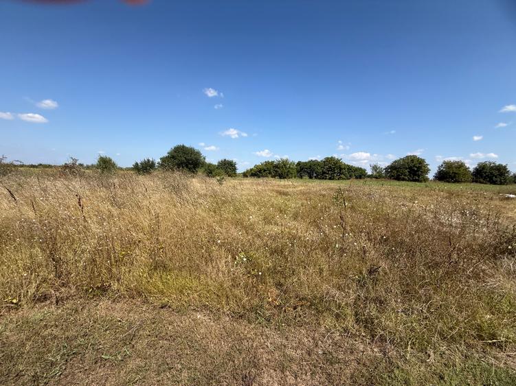 Teren intravilan 2.140 mp Otopeni – dezmembrat cadastral pentru 4 case