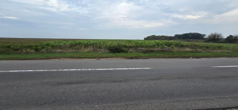 LIVADA DE VANZARE FOCSANI-DUMBRAVITA 1,8 HA