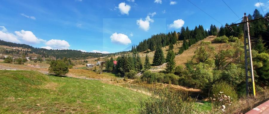 Pensiune 9 camere, iaz propriu, 3.808 mp teren -Mestecanis19 min de Vatra Dornei - 7