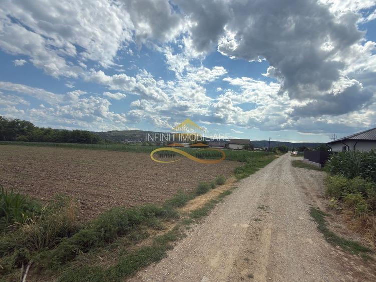 Teren de vanzare in Magura Bacau - 2