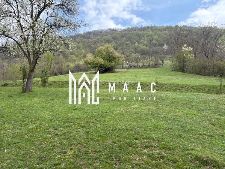 Teren de vânzare, 7750 mp I Orientare sudică I Caineni - 6