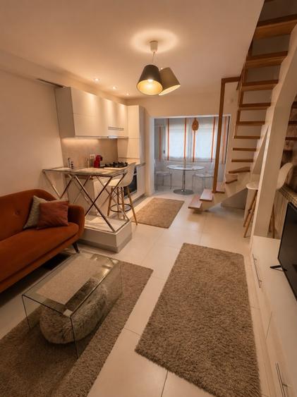 Apartament de 3 camere mansarda (2014)