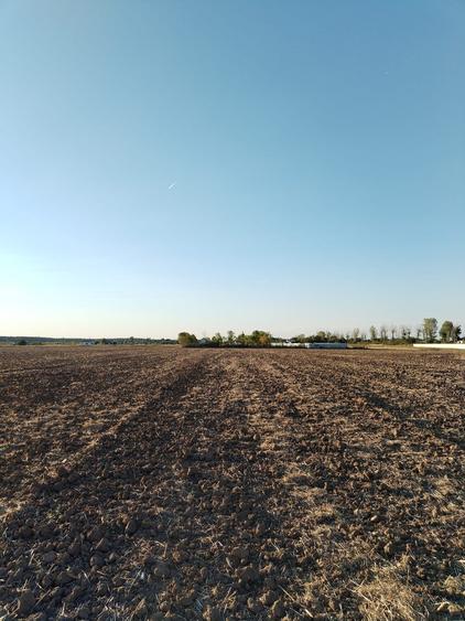 Ciolpani, spre Izvorani - COR, vanzare teren 5000mp.