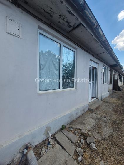 Lehliu gara casa - 5