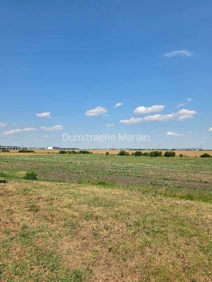 Teren intravilan 2.600 mp – Ștefăneștii de Jos – investiție - 6