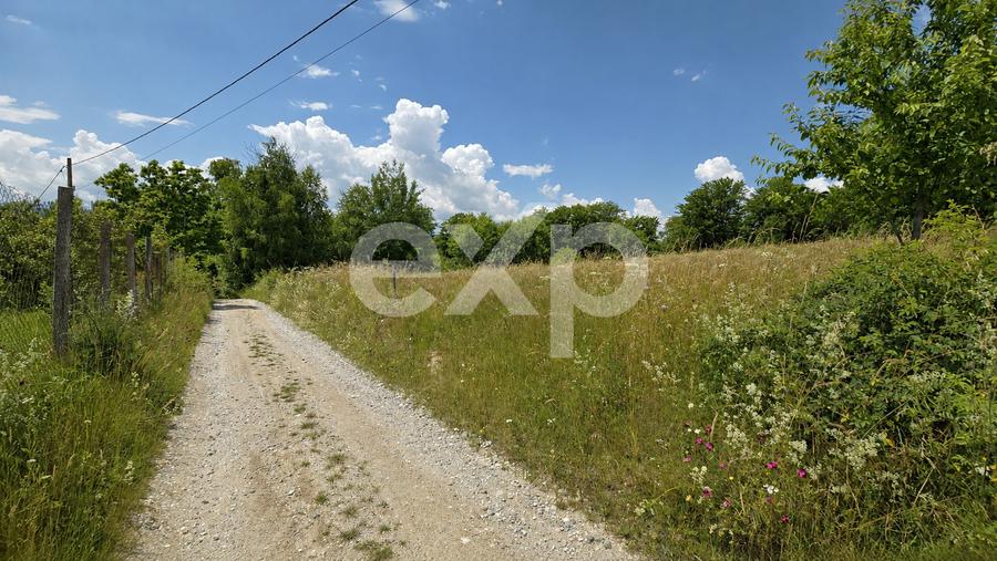 PANORAMA POIANA MĂRULUI | Teren cu potențial de dezvoltare zona  After Hills
