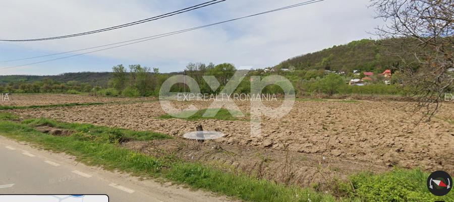 Teren intravilan 21.000 mp de vânzare – Suseni, Comuna Bogați, Județul Argeș - 12