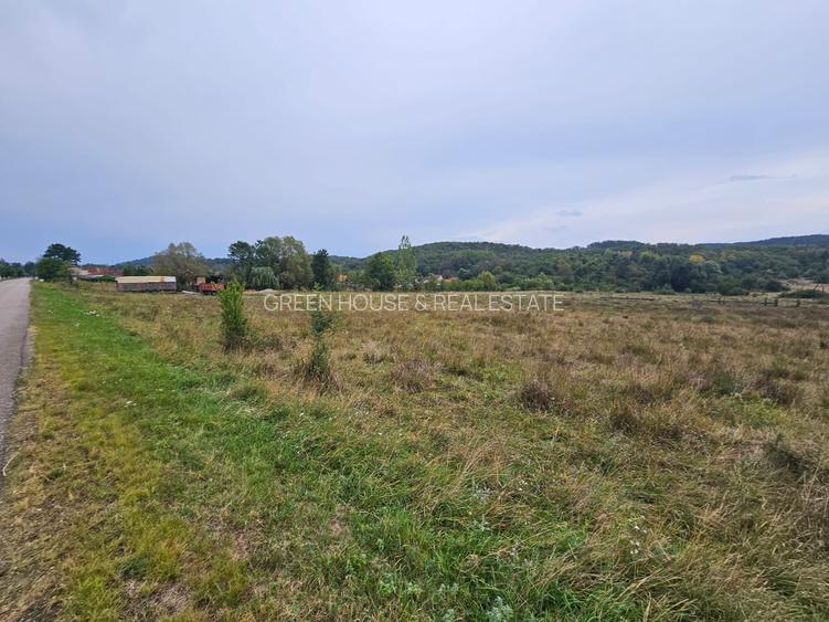 Teren localitatea Petris, Arad - 6