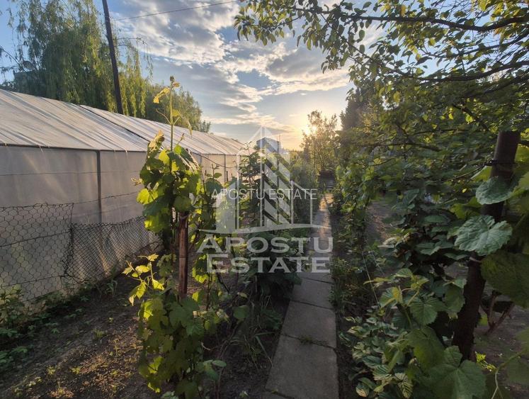 AP. 94MP 4CAM PARTER+GRADINĂ150MP GIARMATA-Timișoara - 9