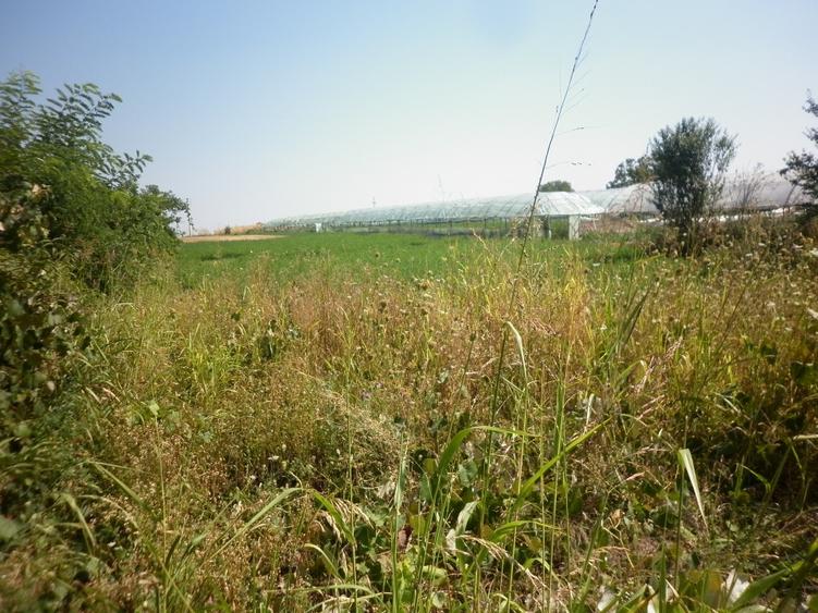 Vidra, teren intravilan 4.800 mp (sau 1.200 mp)