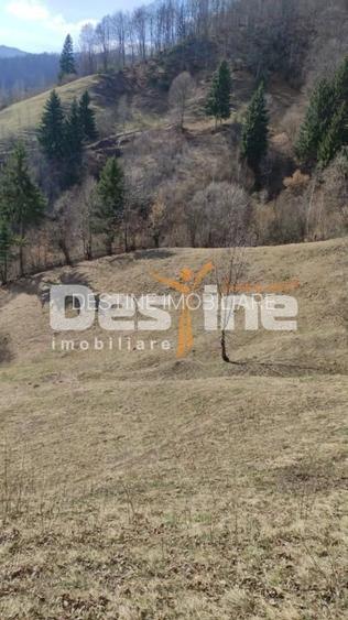 Teren 5000 mp, ideal cabana, pensiune,  in zona de interes  turistic  Rucar-Bran - 2