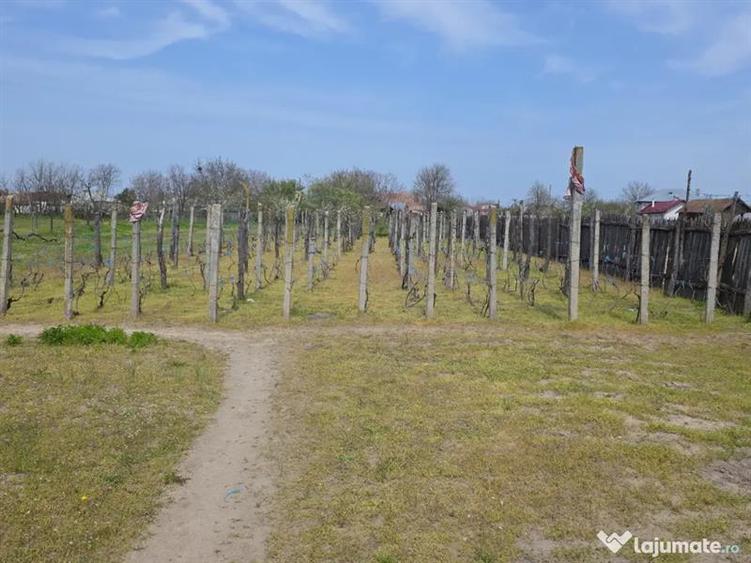 Casa comuna Celaru, sat Soreni, jud. Dolj