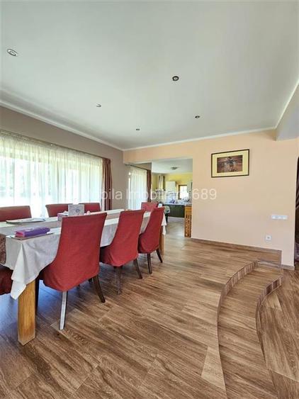 PROPRIETATE EXCEPTIONALA ,TEREN 33.161 MP + RESIDENTA P+1+M - 9