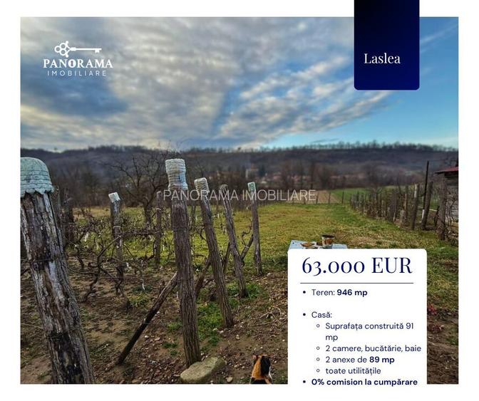 Casă de vânzare în Laslea-gospodărie autentică în inima Transilvaniei