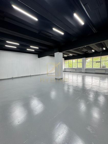 Spatiu Industrial | Pallady