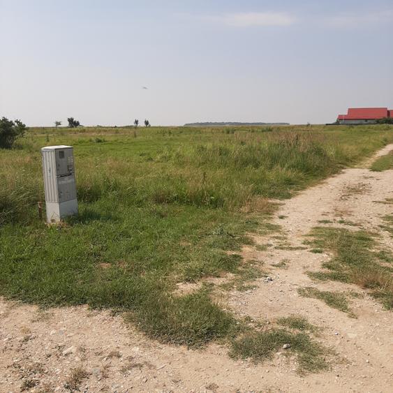 Teren 585 mp, intravilan, in Domnesti catre Teghes, din str. Curtea Domneasca