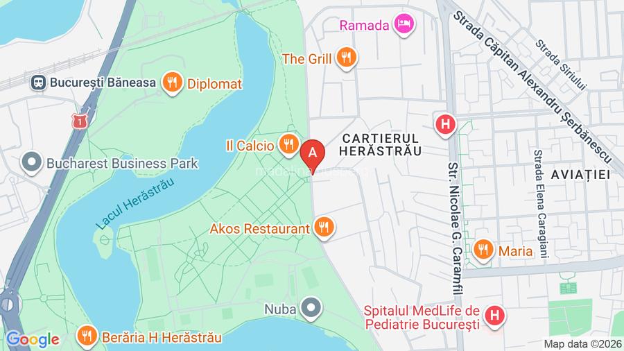 Park View Herastrau Park 5 rooms luxury apartment  - 6