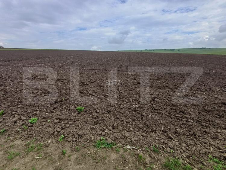 Teren de vanzare intravilan, 33 ari, Cumparatura - 2