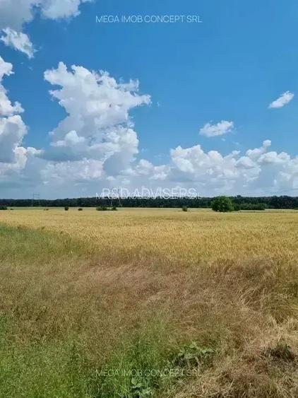 11 Loturi Teren Intravilan | 430 mp / lot | Acces Rapid A2 | Ideal Dezvoltare - 6