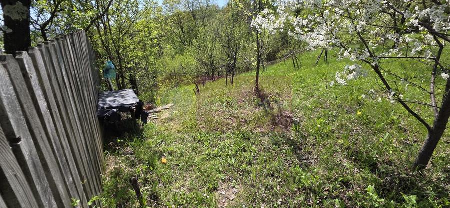 Teren cu Casuta de lemn in Sotrile (langă Valea Doftanei)