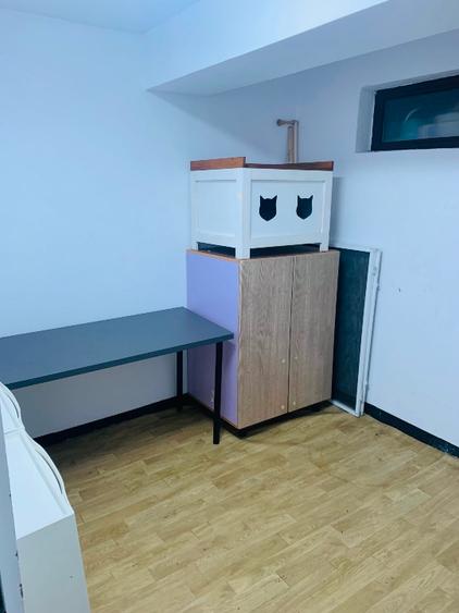 Închiriere studio Otopeni