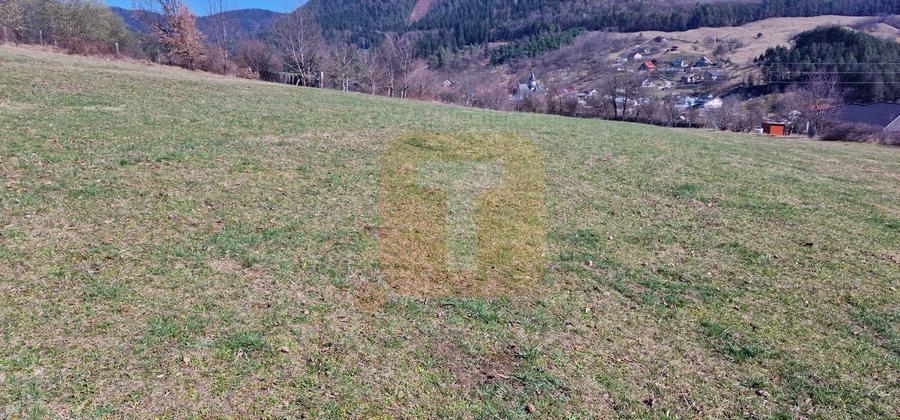 Teren intravilan de 4.000 mp în Bistrița – Alexandru cel Bun