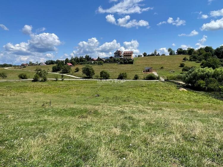 INVESTIȚIE | Teren 5000 mp PUZ APROBAT intravilan - zona Sohodol -Bran - 9